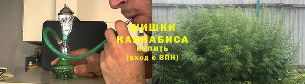 дживик Богородицк