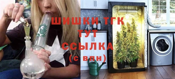 дживик Богородицк